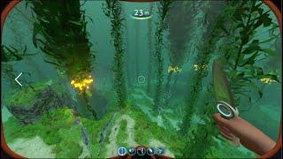 Subnautica play on intel HD graphics