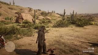 Banded gila monster location rdr2 online