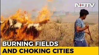 When Punjab's Farmers Openly Defied Stubble Burning Ban By Green Court