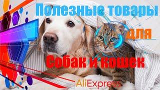 Полезные товары для собак и кошек с Алиэкспресс.  Aliexpress Зоо товары.