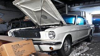 1965 Shelby GT350 Found and Brought Back to Life!!!