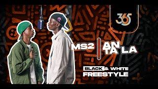 MS2  AN TA LA | Black & White Freestyle