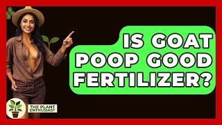 Is Goat Poop Good Fertilizer? - The Plant Enthusiast