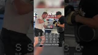 Try this BRUTAL 8-Punch Combo by Canelo Alvarez… 