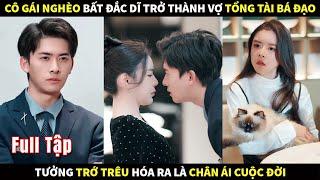 Cô gái nghèo bất đắc dĩ trở thành Vợ Tổng Tài bá đạo, tưởng trớ trêu hóa ra là chân ái cuộc đời