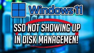 FIX SSD or NVME Not Showing Up in Disk Management or Bios in Windows 11/10 [Solution]