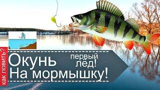 Как ловить окуня на зимней рыбалке по первому льду на мормышку?