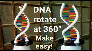 How to Make DNA Model Using Clay || Rotating DNA Model