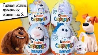 Киндер MAXI  PETS 2 |  Тайная Жизнь домашних животных 2 |  НОВИНКА 2019 | Kinder Surprise