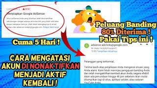 Cara Mengatasi Akun Adsense Di Nonaktifkan | Tips Ajukan Banding 80% Diterima !