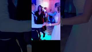 Обніму-поцілую #shortsstudiovvs #shorts_video #wedding #dance #love #ukrainiandancemusic #україна