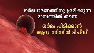 ഗര്‍ഭധാരണത്തിനു ശ്രമിക്കുന്ന ആ മാസത്തില്‍ തന്നെ ഗര്‍ഭം പിടിക്കാന്‍ |  Implantation Success Pregnancy