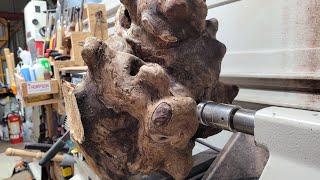 **Bumpy Burl Bowl** Maple Burl @TanyaBecherWoodturning