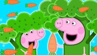 Peppa Pig Becomes Broccoli in Hollywood!  Peppa Pig Family Kids Cartoon  Peppa Pig Season 9