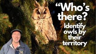 How to identify British owls by territory Barn owl Tawny owl Little owl long and short eared owl