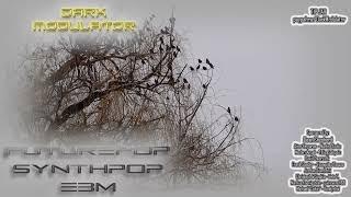 SYNTHPOP - FUTUREPOP - EBM (September 2024) Mix from DJ DARK MODULATOR