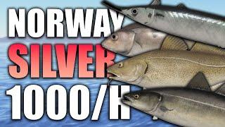 Russian Fishing 4 - 1000 Silver an hour spot - Norwegian Sea - RF4