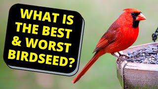 What Birdseed You MUST Avoid At Your Feeder For Healthy Wild Birds!