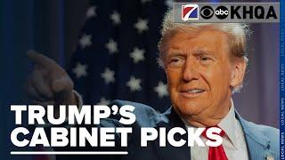 A Closer Look at Donald Trump's Cabinet Picks