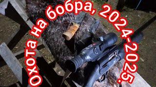 Охота на бобра с ночным цифровым прицелом, ружьё МР-155, первый трофей 2024 года.