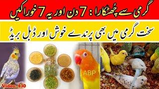 7 Summer Foods for 7 Days (Garmi ki Best Khurak), Birds Good Health and Breeding |Arham|, Video. 430