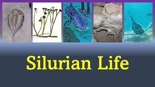 The Silurian Period: Life Moving To Land And Some Other Life