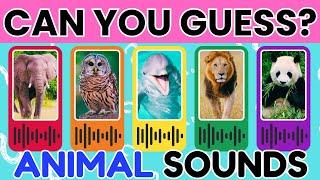 Can You Guess the Animal Sound?  Fun Animal Sound Quiz for Kids & Families!