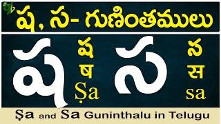 ష, స గుణింతాలు | Sha, sa gunintham | How to write Sha, Sa guninthalu |Telugu varnamala Guninthamulu