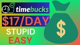 Earn $30/Day The Easy Way | How to Make Money on Timebucks (Timebucks Review 2023)