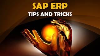 SAP ERP Tips and Tricks Change SAP Standard Field Text Description