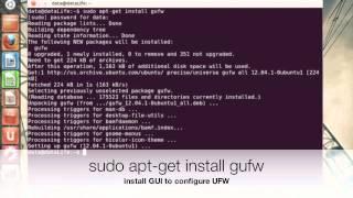 Ubuntu Mint: Firewall UFW Uncomplicated Firewall