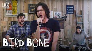 Bird Bone: Цех live