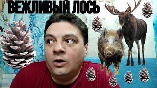 Вежливый лось. | Анекдот!