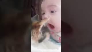 #baby playing cat # funny 2022 # commedy