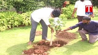 MP Santhosh Kumar Participates in Haritha Haram | Hyderabad | T News live Telugu