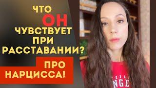 Страдает ли нарцисс? Разоблачаем ЕГО тайные ЧУВСТВА!