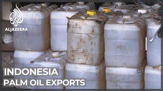 Indonesia resumes palm oil exports after three-week ban