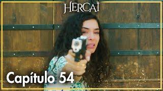 Hercai - Capítulo 54