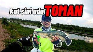 CASTING TOMAN SOFTPLASTIC SANTEC HOGY LESEN 2021 SUNGAI KESANG || V31