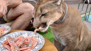 Messi has fallen in love with shrimp again! The secret recipe for delicious shrimp!