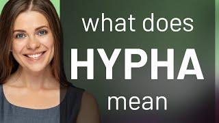 Hypha | meaning of HYPHA