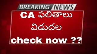 CA RESULTS RELEASED 2024 TELUGU CHECK NOW MUST WATCH STUDYNEWS WITH KENZO ||