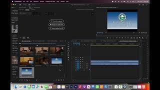 12  How to transcribe sequences in Premiere Pro