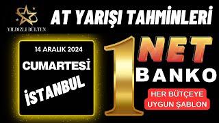 14 Aralık 2024 Cumartesi İstanbul At Yarışı Tahminleri