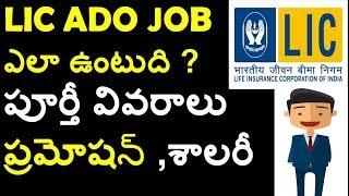 LIC ADO JOB PROFILE ,SALARY,PROMTION FULL DETAILS IN TELUGU