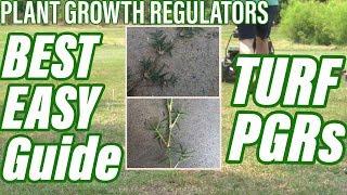 Plant Growth Regulators - The BEST, EASIEST Guide - HOW TO USE PGRs on TURF [2019 TIPS]