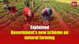 Explained: Government’s new scheme on natural farming | Agriculture