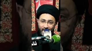 Allama Shahenshah Hussain Naqvi Ham Mola Ali (a.s) ko ambiya se Afzal mante Hain #short_video part 1