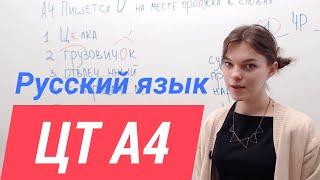 ЦТ А4. О, Е после шипящих