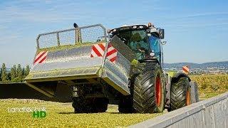 Mais häckseln für Biogasanlage Bad Oeynhausen [HD]